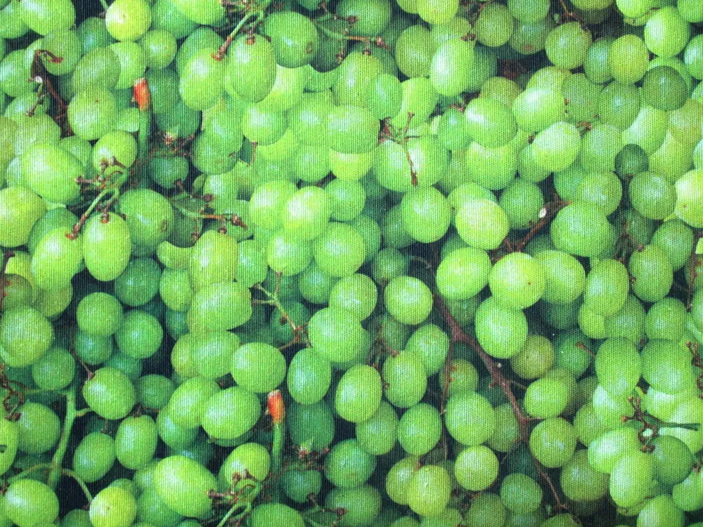 Poťahovka zelená "hrozno" 