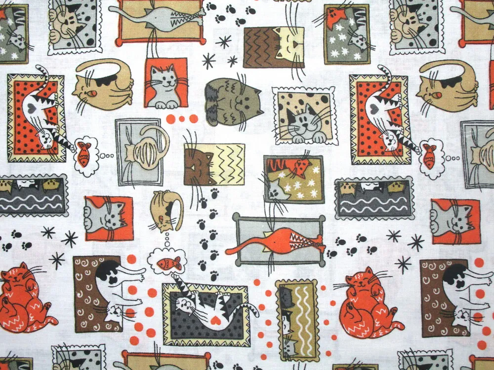 Bavlna biela "mačičky v rámčekoch" 