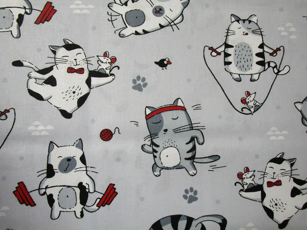 Bavlna sivá "mačky" 