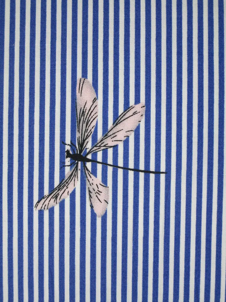 Šatovka bielo-modrá "vážka" zvyšok