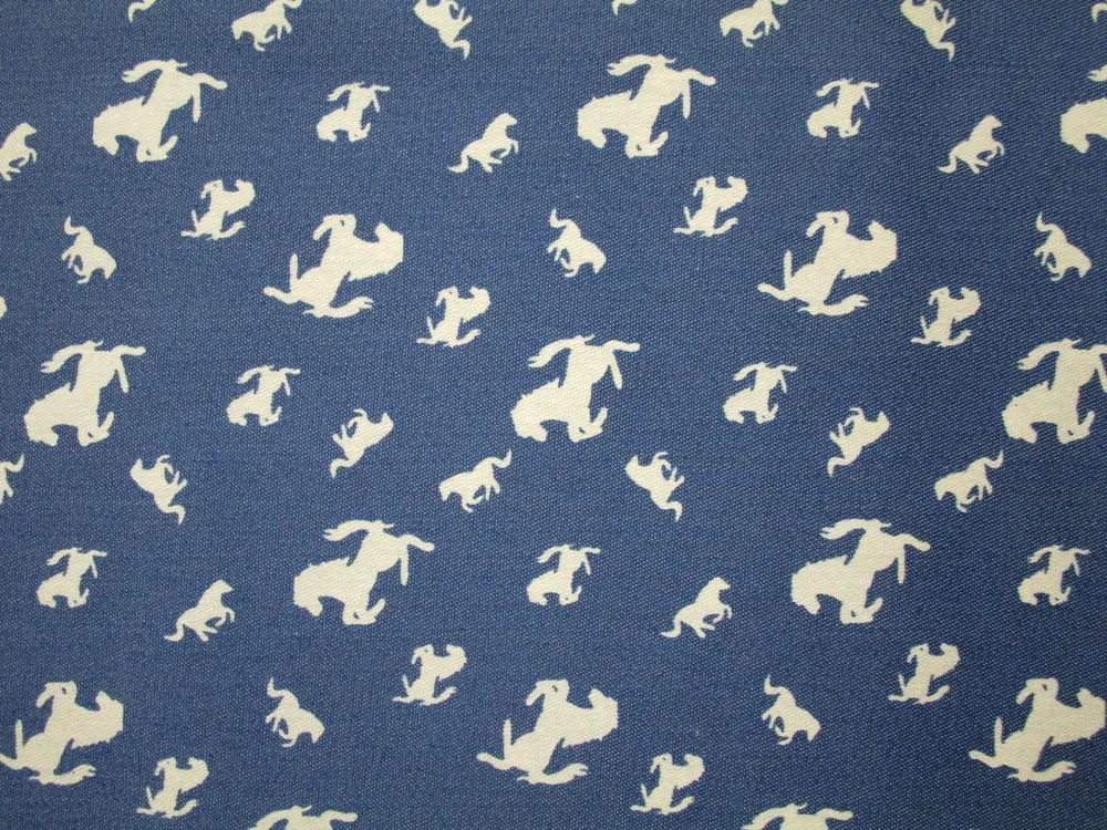 Riflovina modrá "maslový koník" - Taliansko 