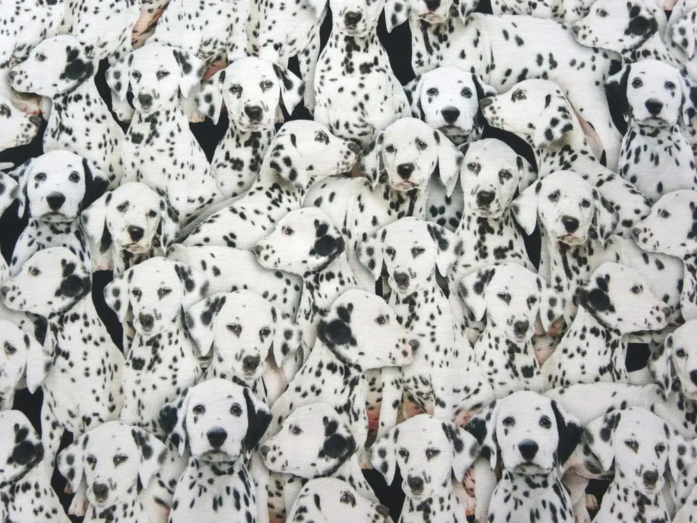 Úplet čierny "dalmatín" - digitálna tlač