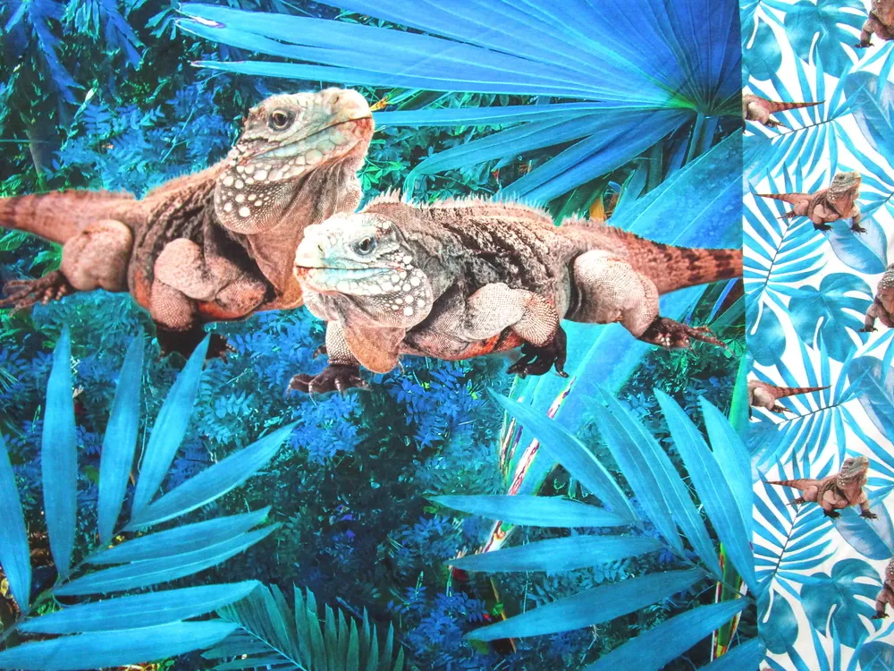 Úplet "jašter" - raport, digitálna tlač 