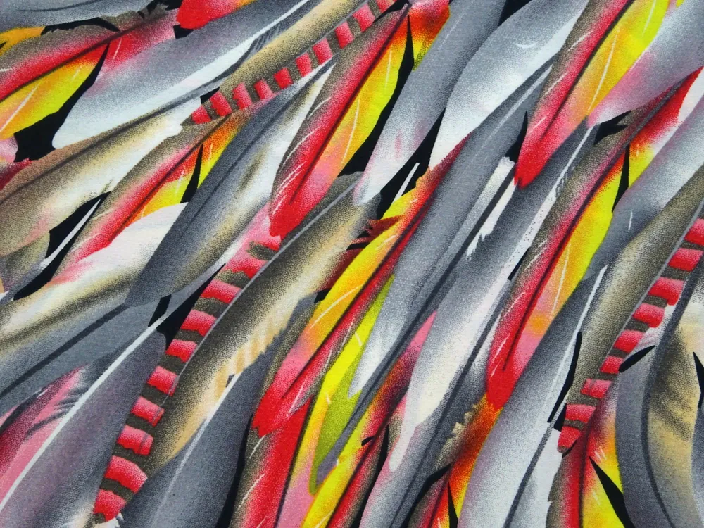 Šatovka čierna "žlto-červeno-sivé pierka"