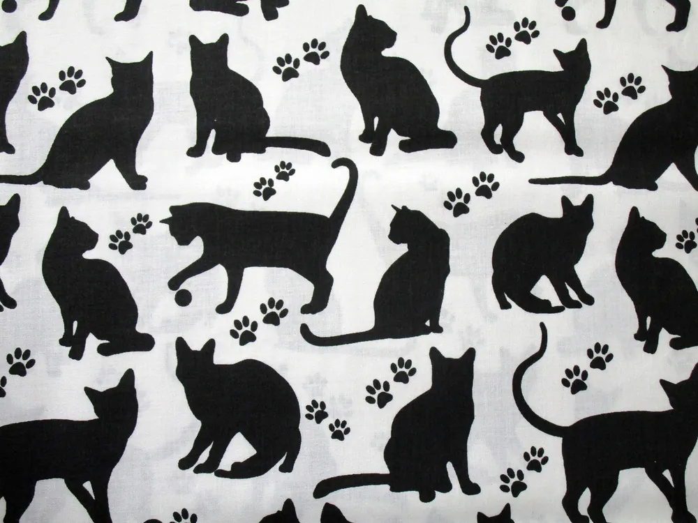 Bavlna biela "čierne mačičky" 