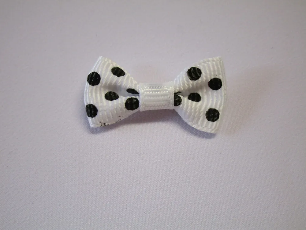 Mašlička biela "čierne bodky"