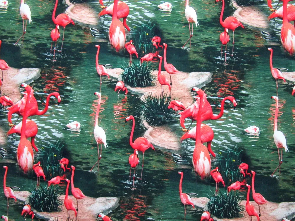 Teplákovina zelená "plameniak" - digitálna tlač