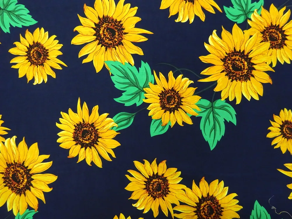 Šatovka tmavomodrá "slnečnice" 