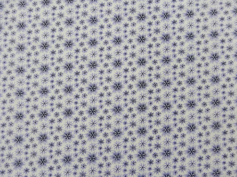 Šatovka biela "čierno-fialový kvet" 