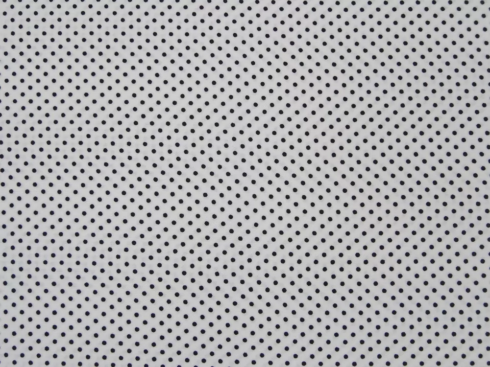 Šatovka biela "čierna bodka"