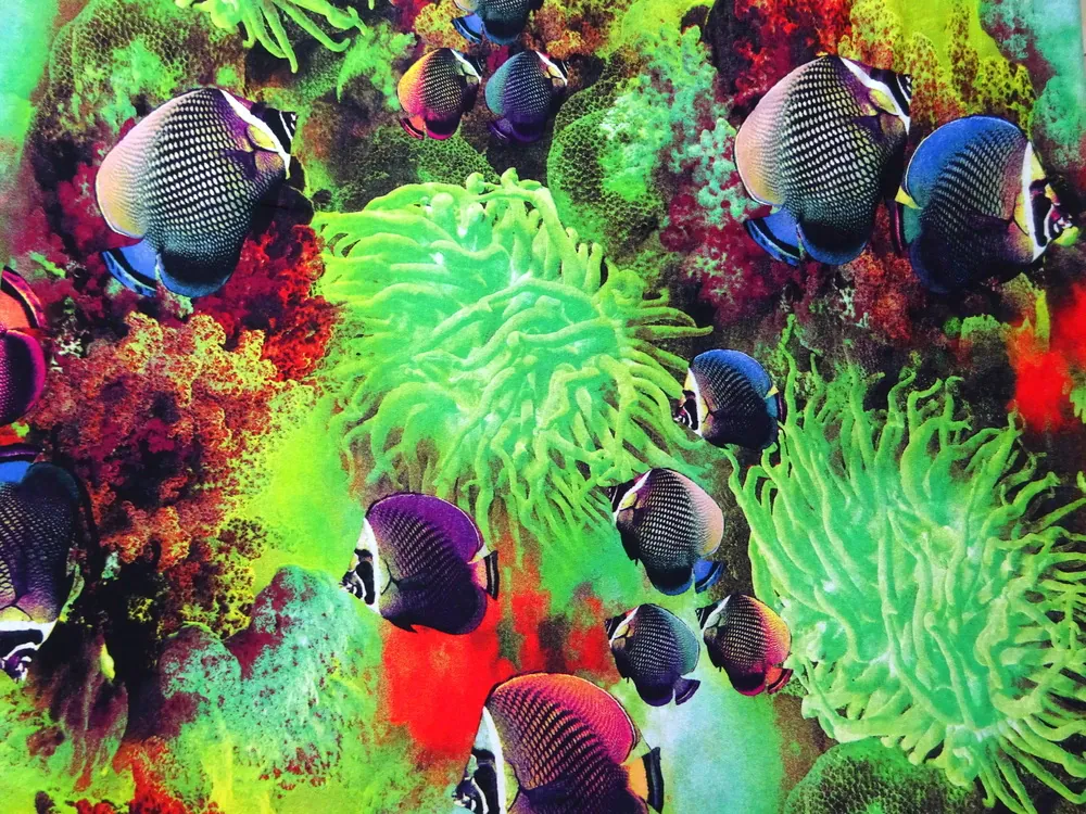 Úplet farebný "morský svet"