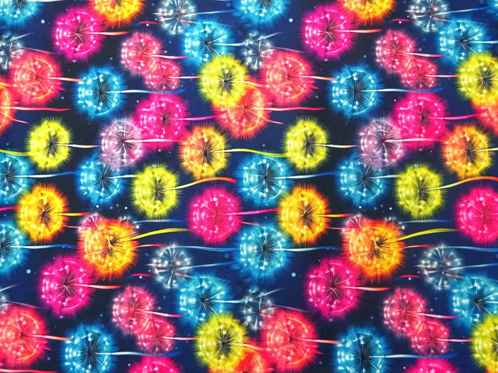 Kočíkovina modro-čierna "farebná púpava" 