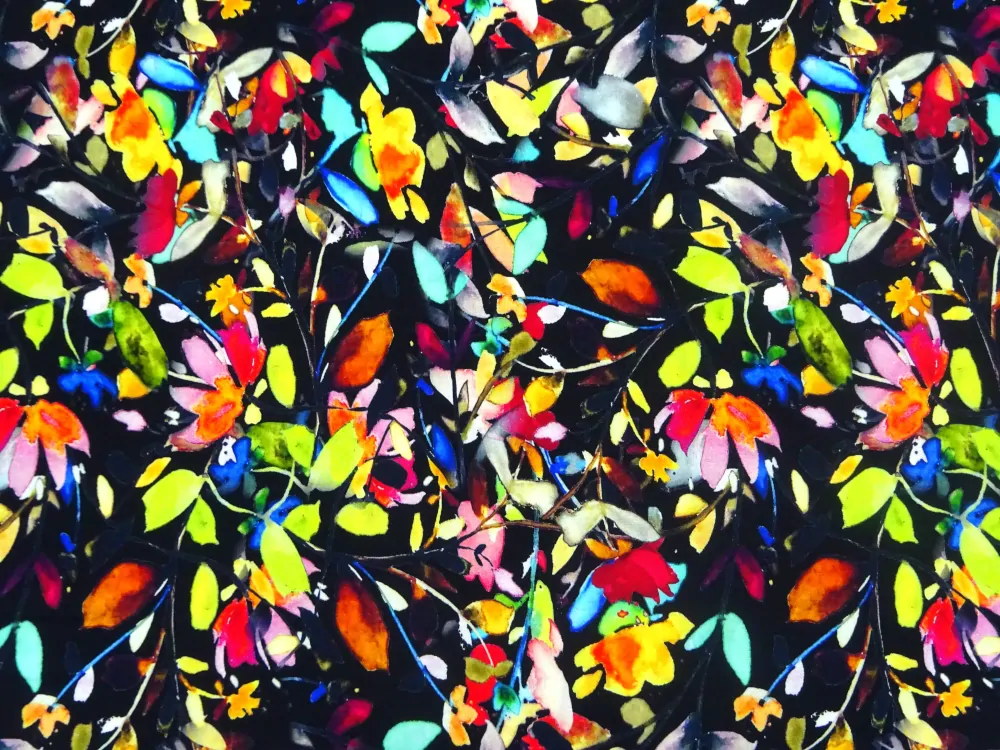 Šatovka čierna "farebné kvety, lístočky" 