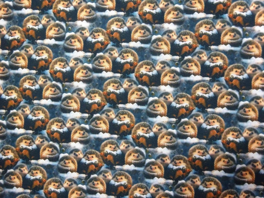 Kočíkovina modro-čierna "ježko" 