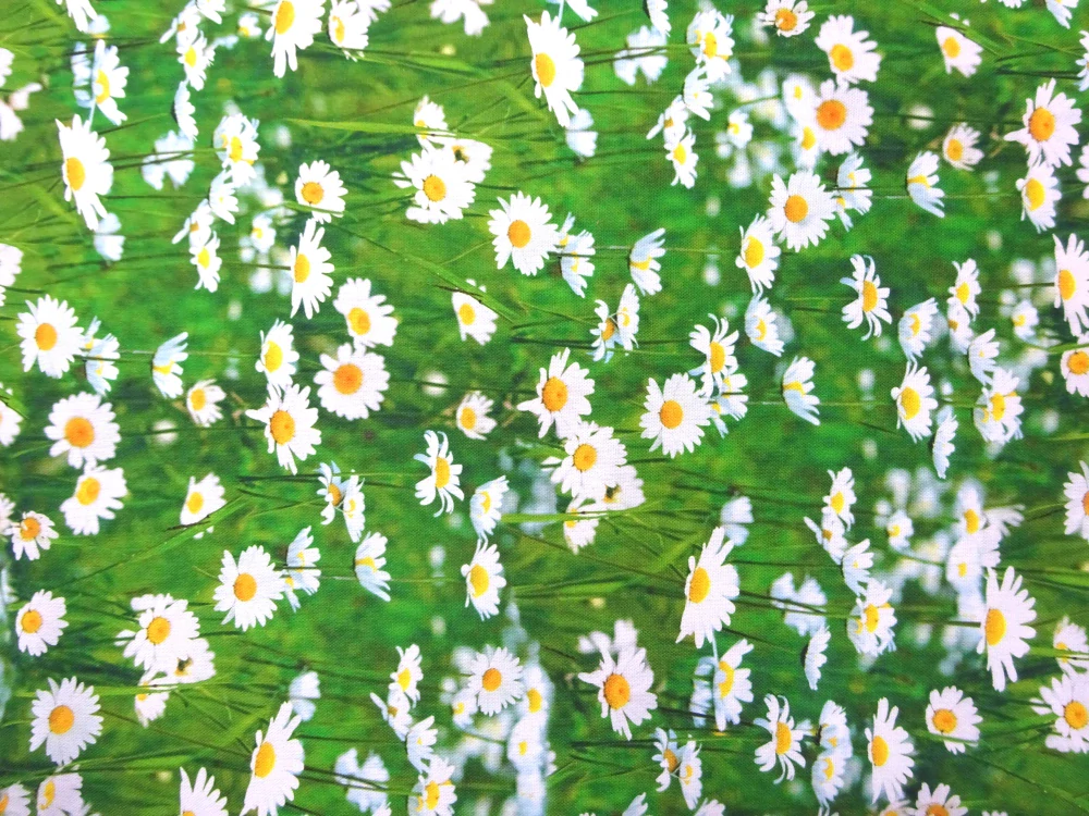 Poťahovka zelená "biele kvety" - digitálna tlač 