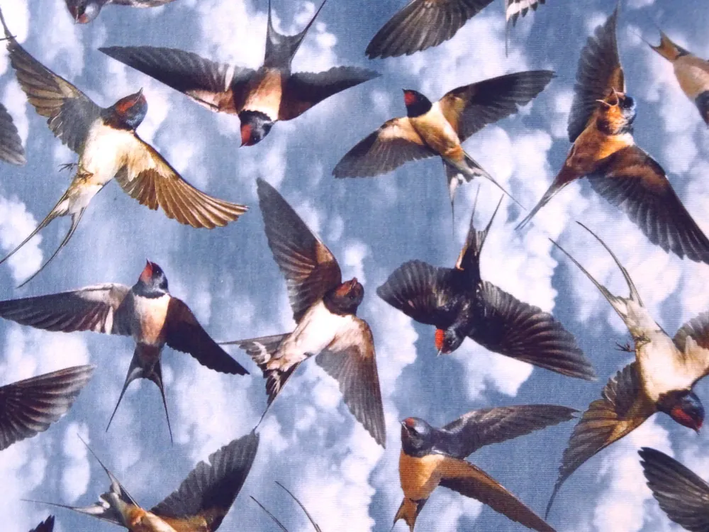 Úplet modrý "vtáky" - digitálna tlač 