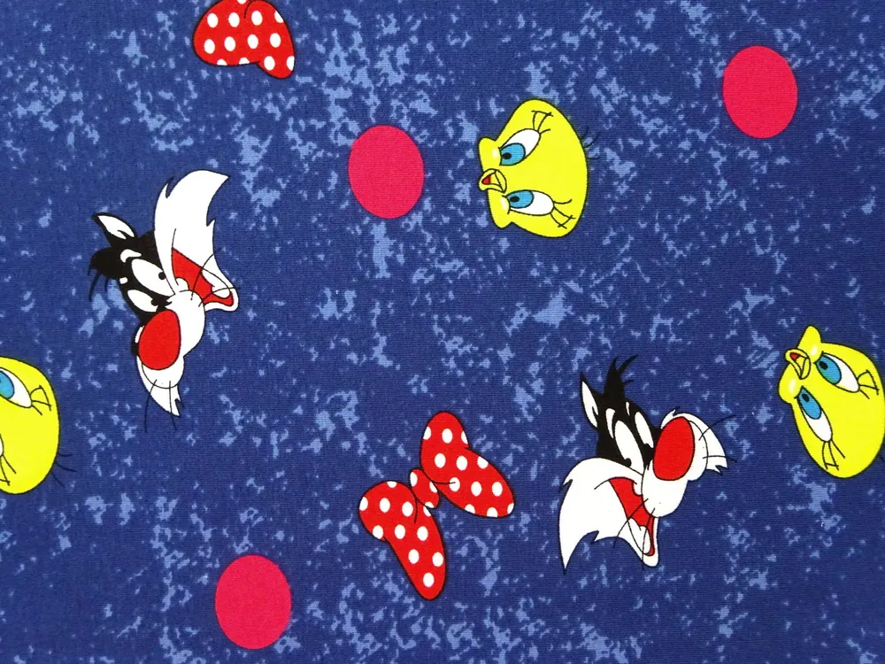 Úplet modrý "Silvester a Tweetee"