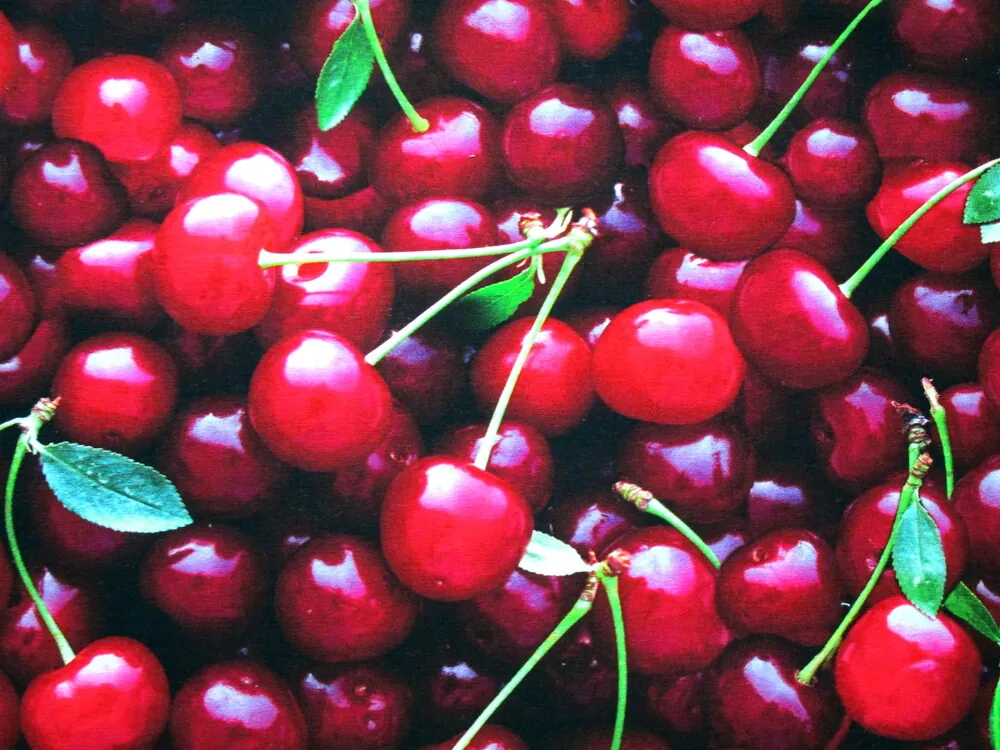 Úplet červeno-vínový "3D čerešne" - digitálna tlač