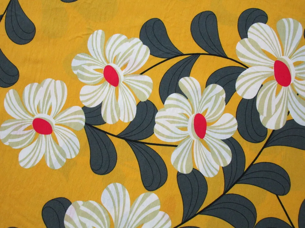 Šatovka žltá "veľké kvety, listy" 