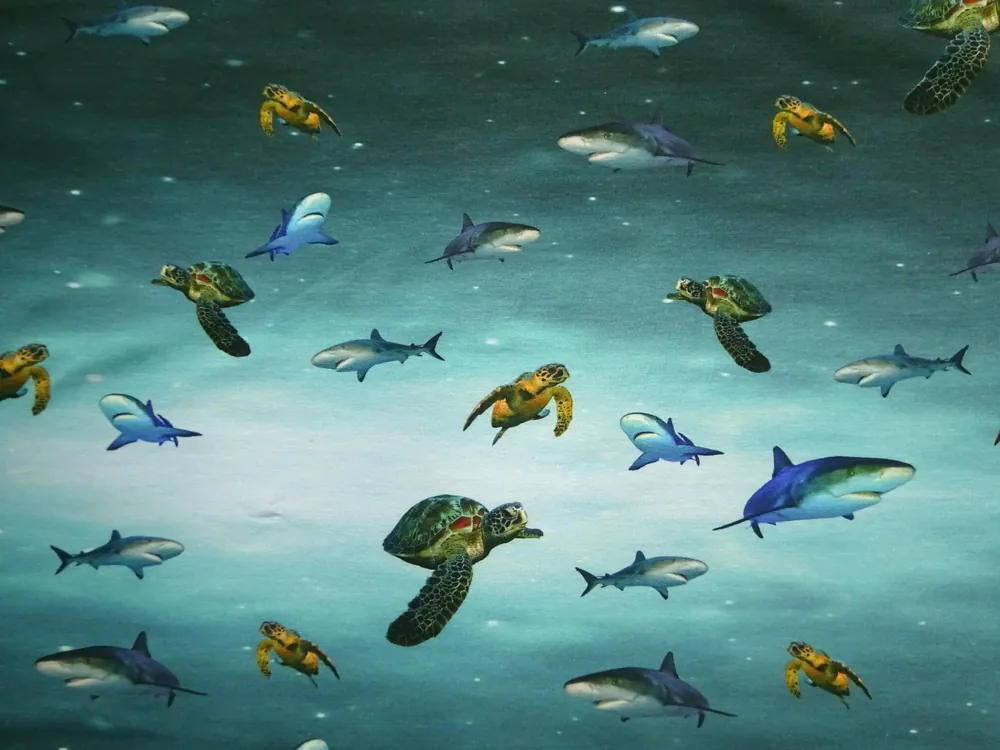 Úplet modrý "lebka, morský svet" - raport 