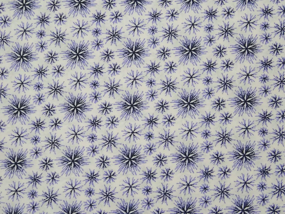 Šatovka biela "čierno-fialový kvet" 