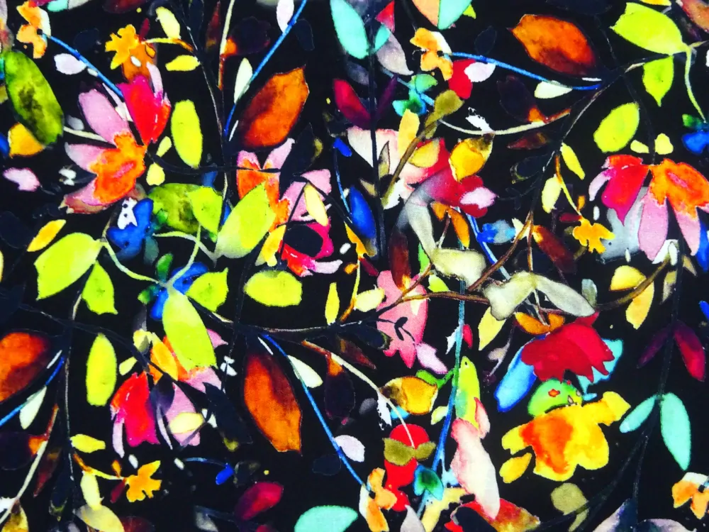 Šatovka čierna "farebné kvety, lístočky" 