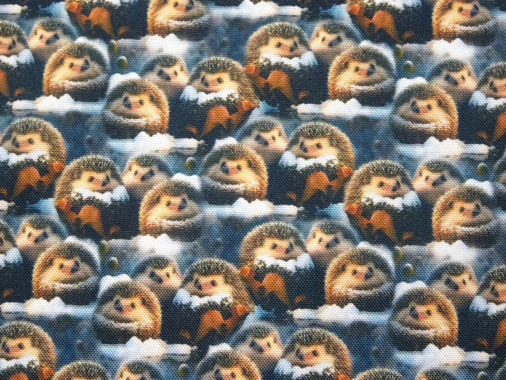 Kočíkovina modro-čierna "ježko" 