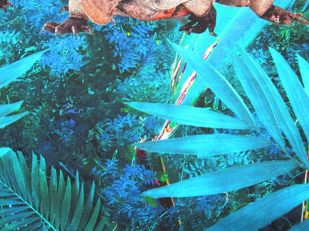 Úplet "jašter" - raport, digitálna tlač 