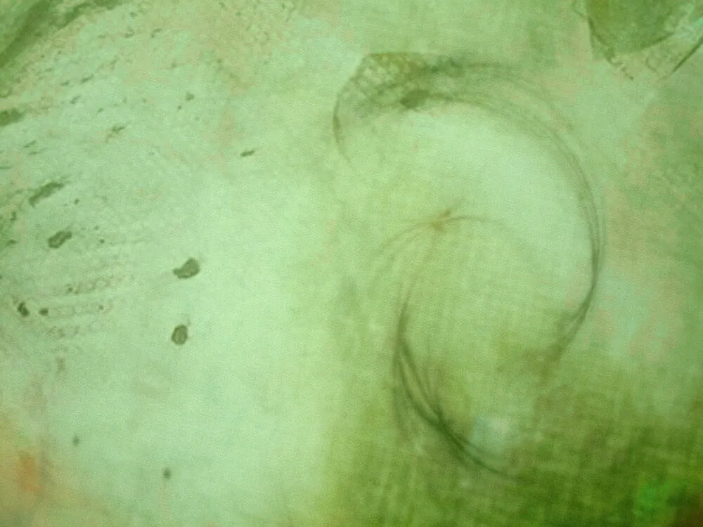 Hodváb zelený "žlto-pomarančový vzor"