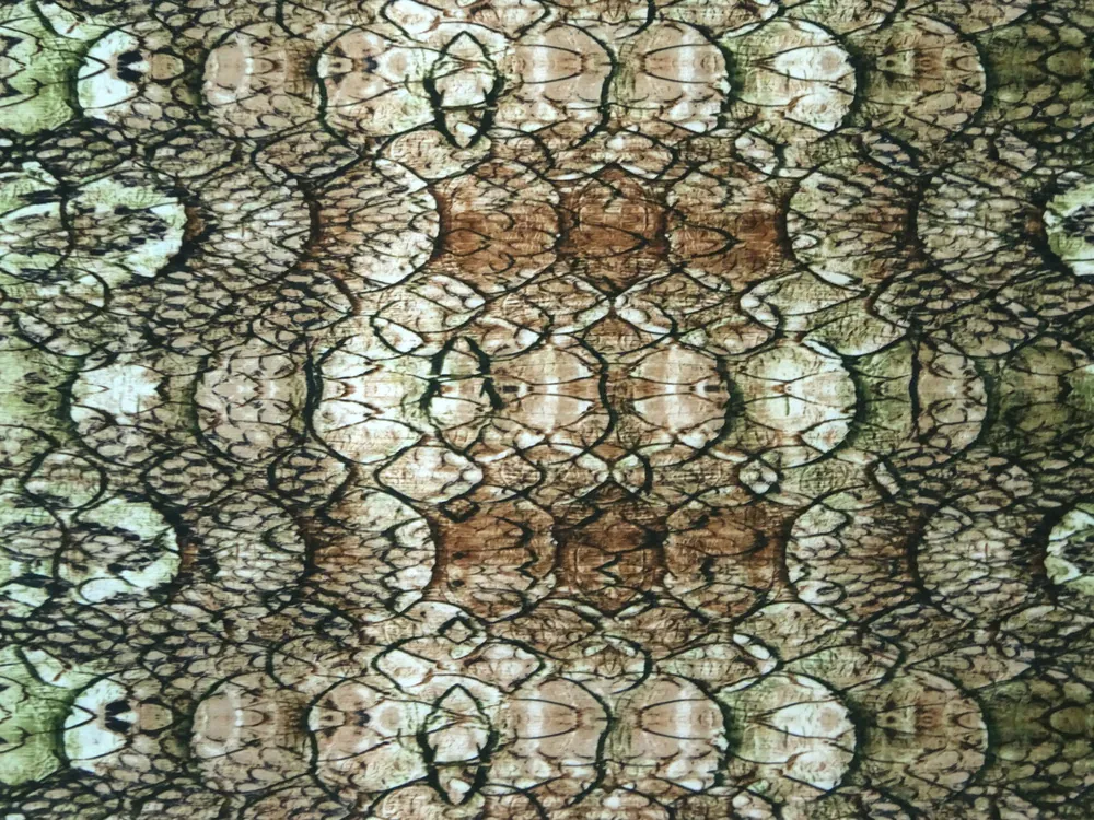 Šatovka zeleno-hnedá "hadí vzor"