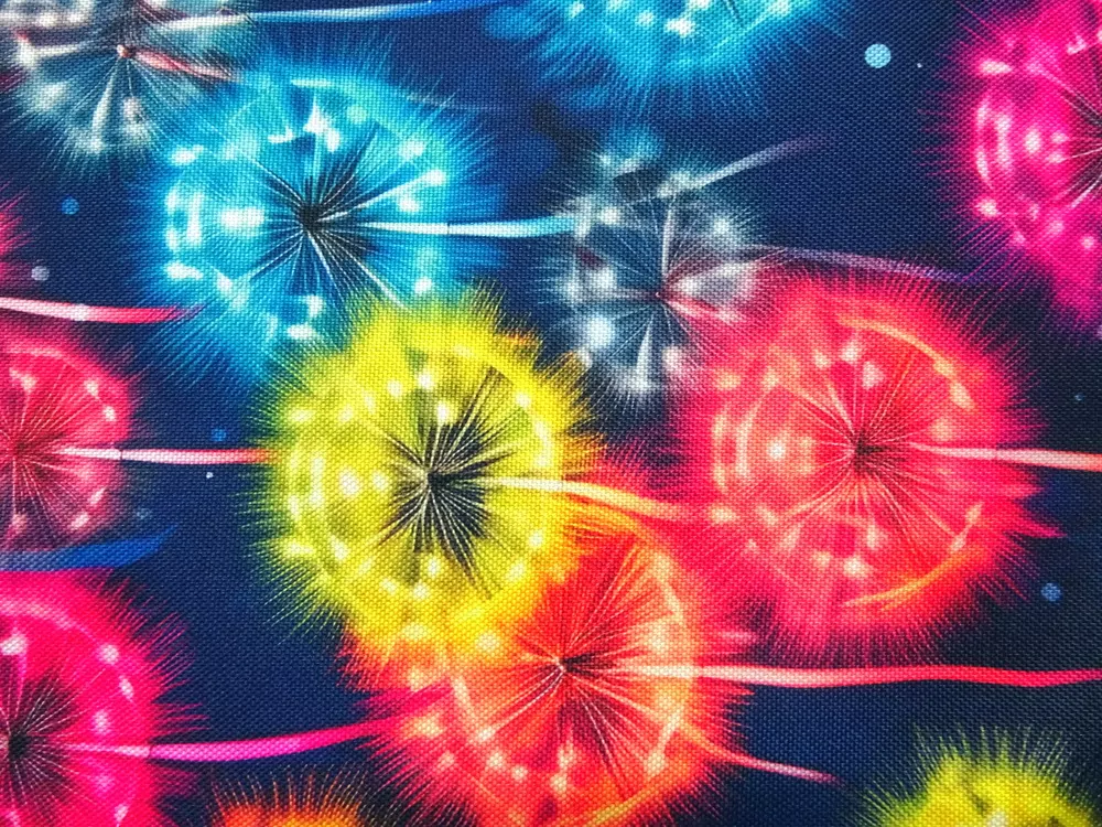 Kočíkovina modro-čierna "farebná púpava" 