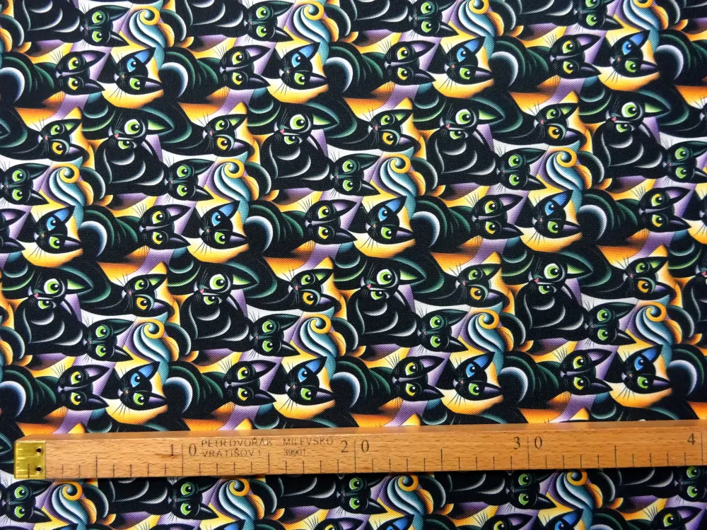 Kočíkovina žlto-fialová "čierna mačička" 