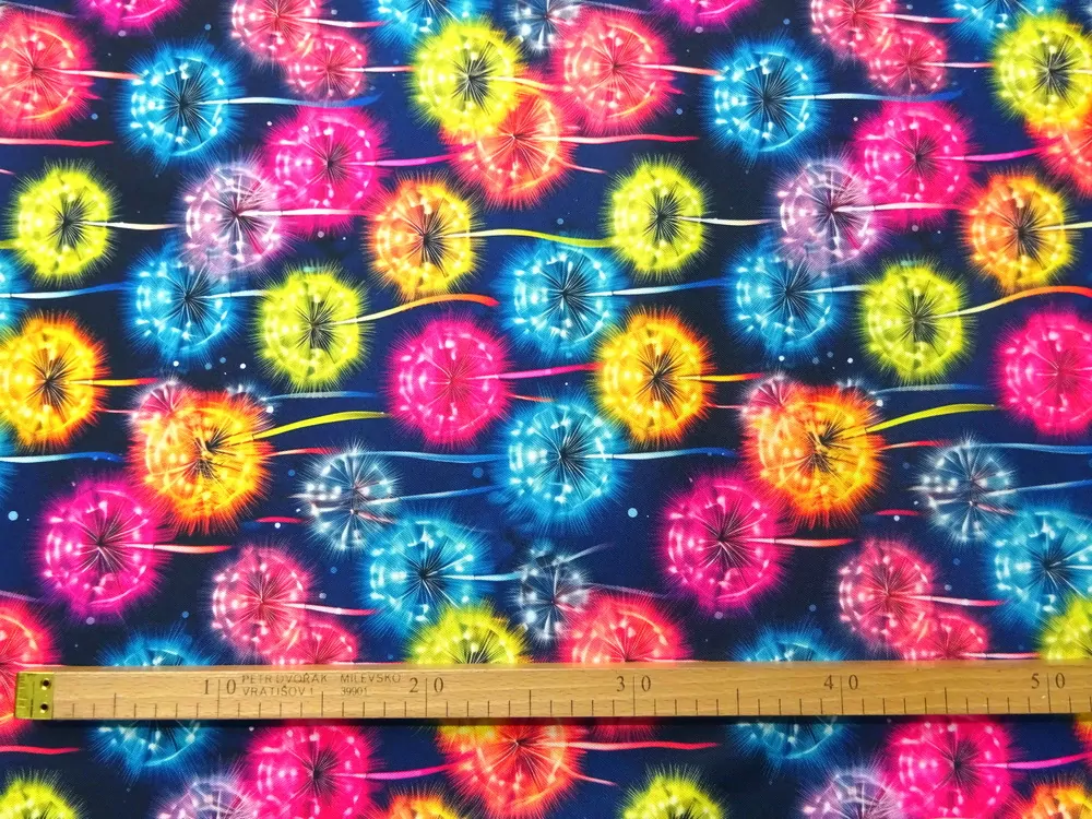 Kočíkovina modro-čierna "farebná púpava" 