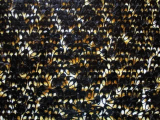 Úplet leopard "čierne flitre" 