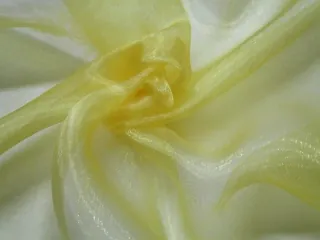 Organza "žltá"