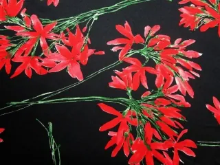 Satén Silk čierny "červené kvety"