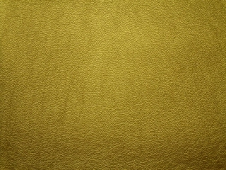 Koženka odevná "zlatá"