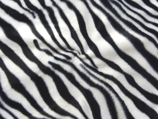 Kožušina bielo-čierna "zebra" - nízky vlas 