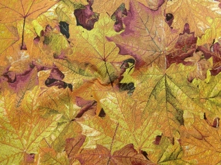 Gobelín "žlto-pomarančovo-vínové listy"