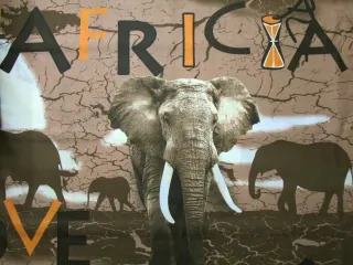 Bavlna hnedá "Africa"